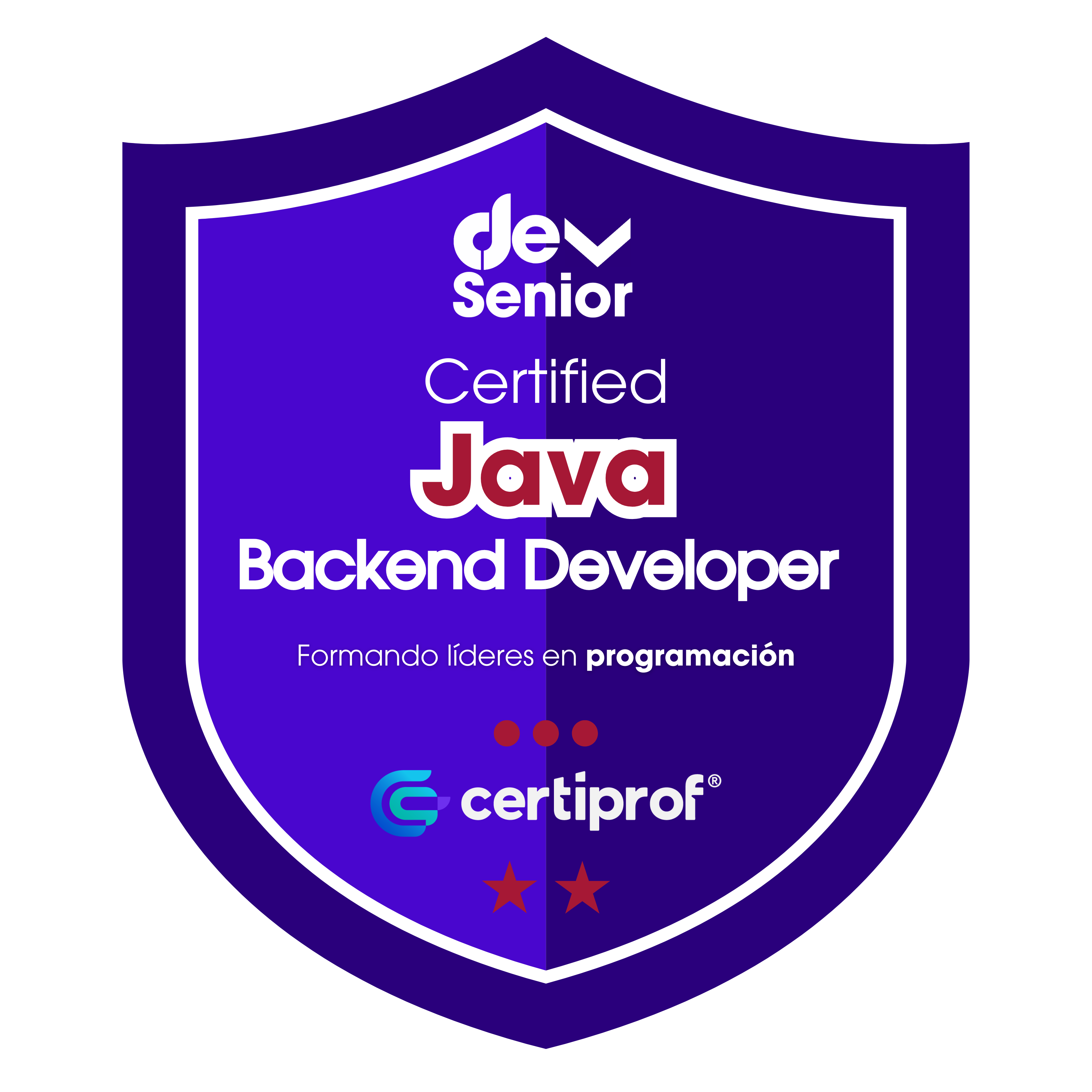 Insignia Java Backend Developer